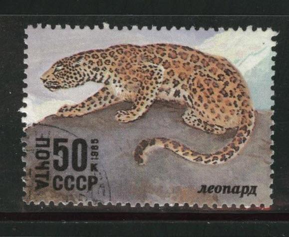 Russia Scott 5393 Used  1985 Panther stamp