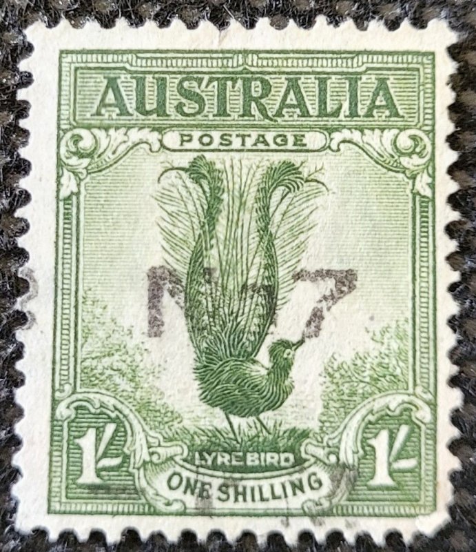Australia, 1932, Male Lyrebird, #141, 1 Shilling, light cancel, SCV$4.50