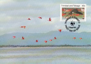 Trinidad & Tobago 1990 Maxicard Sc #505 40c Scarlet ibis WWF