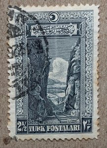 Turkey 1926 2.5g Sakaraya Gorge. Toned. Scott 638, CV $0.25.  Isfila 1162