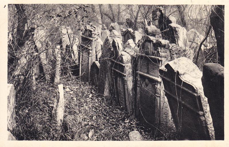 Prague Old Jewish Cemetery Mint Post Card.  Judaica Item