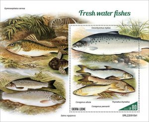 Sierra Leone - 2022 Fresh Water Fish, Trout - Stamp Souvenir Sheet - SRL220510b1
