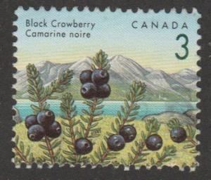 1351  Fruit Definitive