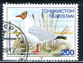 Tajikistan; 1996; Sc. # 88; O/Used CTO Single Stamp