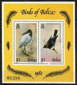 Belize Stamp 501  - Birds of Belize, 1980