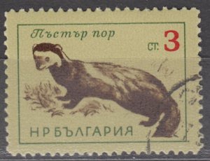 Bulgaria Scott #1263 1963 CTO