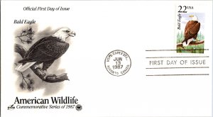 United States, United States First Day Cover, Canada, Stamp Collecting, Birds