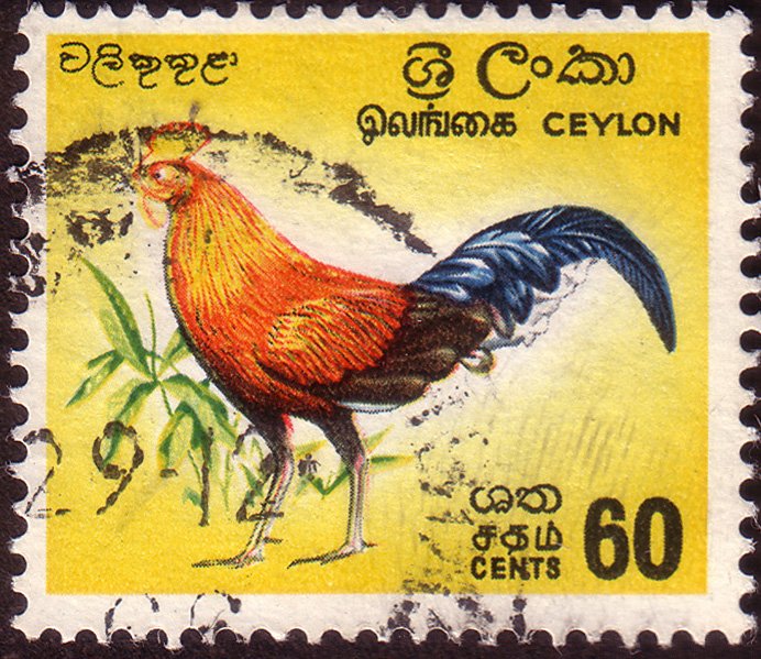 Ceylon Sc#377 missing one colour