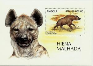 ANGOLA SHEET HIENA WILDLIFE