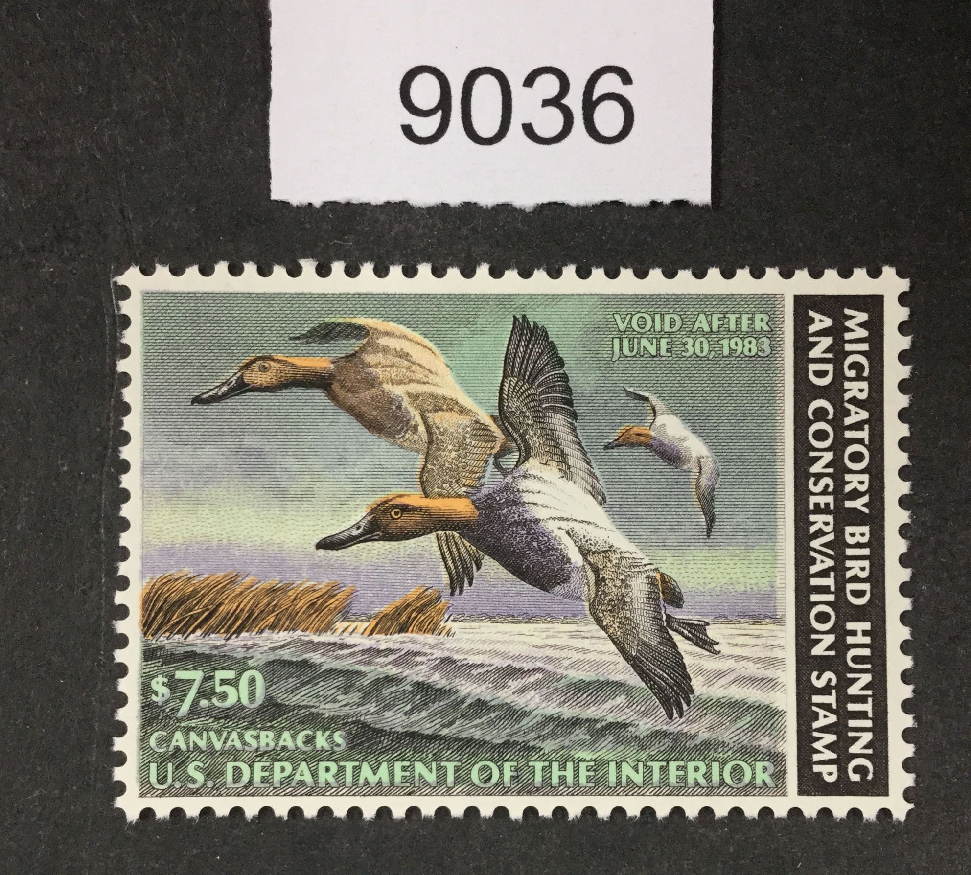 US Stamps Rw49 Duck Mint OG NH LOT C 9036 United States, Duck