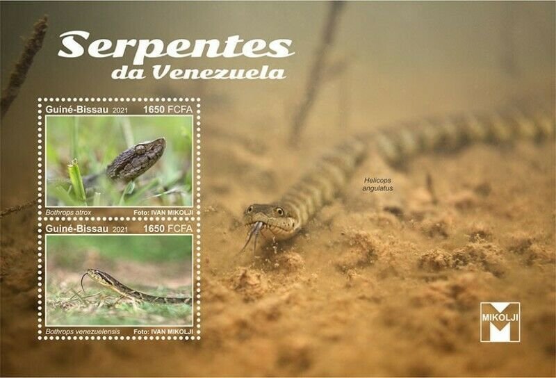 Guinea-Bissau - 2021 Venezuela, Lancehead Snakes - 2 Stamp Sheet - GB210203a 