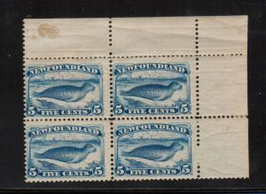 Newfoundland #55 Mint Fine Never Hinged Corner Block