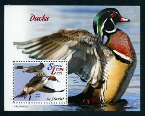 SIERRA LEONE 2019 DUCKS  SOUVENIR SHEET MINT NH