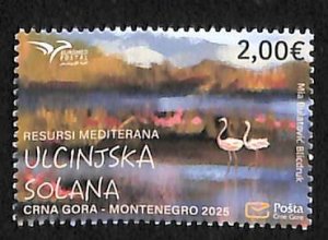 Montenegro 2025, Euromed 1v, MNH