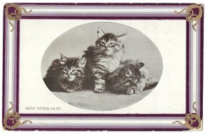 Cats, Kittens Rest After Play Embossed Postcard, Mailed Nova Scotia, Canada 1909