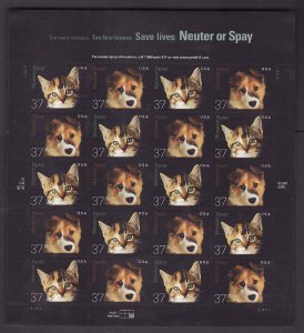 USA-Sc#3670-1- id12-unused NH sheet-Animals-Dogs-Cats-2002-