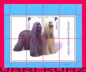 TRANSNISTRIA 2012 Nature Fauna Domestic Animals Pets Dogs Afghan Hound s-s MNH