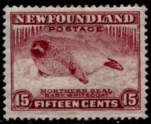 Newfoundland #195 Harp Seal Pup Definitive Issue MLH