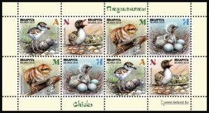 Belarus 2018 MNH Stamps Mini Sheet Scott 1076a Birds Chicks Eggs