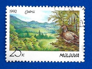 Moldova 1992 - Scott #25 *