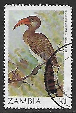 Zambia # 381 - Bradfield's Hornbill - used.....{BE13}