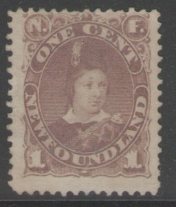 NEWFOUNDLAND SG44a 1880 1c DULL BROWN UNUSED