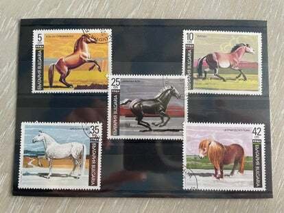 (FB43) BULGARIA 1990 : HORSES - VFU