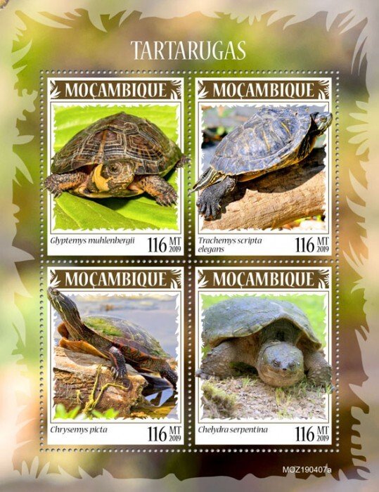 MOZAMBIQUE - 2019 - Tortoises / Turtles - Perf 4v Sheet - Mint Never Hinged