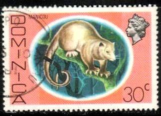 Possum, Manicou, Dominica stamp SC#465 used