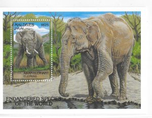 Maldives 1993 Endangered animals Elephant Asian S/S Sc 1866 MNH C3