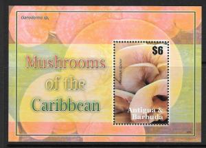 ANTIGUA SGMS4085 2007 MUSHROOMS MNH