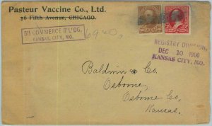 91380 - UNITED STATES USA - POSTAL HISTORY - EARLY Cover: CHICAGO 1900