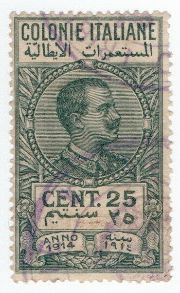 (I.B) Italy (Libya) Revenue : Duty Stamp 25c (1914)