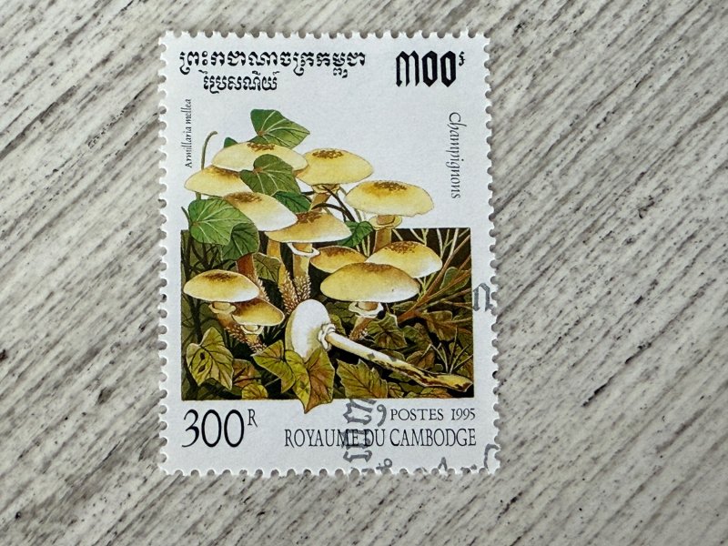 Cambodia #1428 Used, 300r, Mushrooms, 2024 SCV $0.30