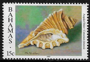 Bahamas #851b MNH Stamp - Seashells