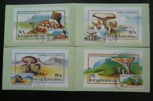 mushroom fungi set of 4 maximum cards Lesotho 1983