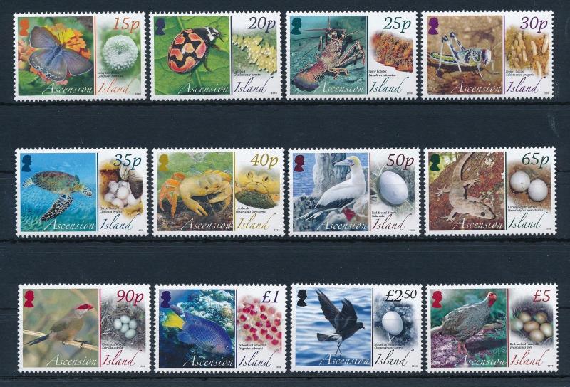 [31551] Ascension 2008 Marine Life Lobster Fish Turtle Butterfly Eggs MNH