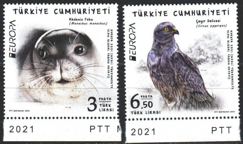Turkey. 2021. Birds, seal, Europe sept. MNH.