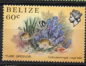 Belize Marine life Fish coral diagonally perf shift error strip MNH