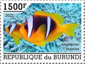 Burundi - 2022 Red Sea Clownfish - Stamp - BUR2201088a