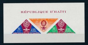 [19607] Haiti 1962 Anti Malaria Mosquito WITHOUT inscription Imperf. Sheet MNH