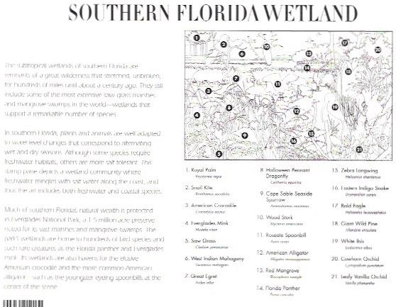 US #4099 Southern Florida Wetlands  sheet. Great info on the back.  Nice.