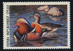 USSR (Russia) RD1 MNH Duck Stamp, Mandarin Ducks