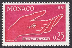 MONACO SCOTT 482