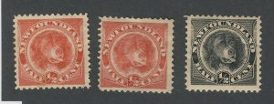 3x Newfoundland Dog 1/2c Mint Stamps; #56x2 F/VF VF #58-VF Guide Value = $54.00