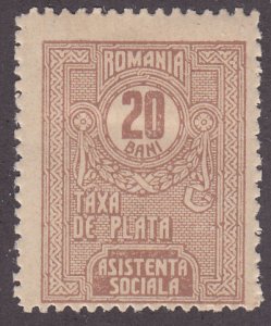 Romania RAJ17 Postal Tax Due Stamp 1923