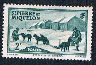 St Pierre & Miquelon 172 MLH Dog Team (BP6419)