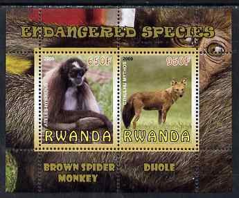 RWANDA - 2009 - Spider Monkey & Dhole - Perf 2v Sheet - MNH - Private Issue