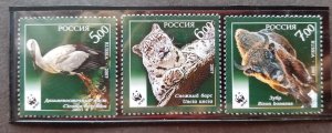 Russia WWF 2007 Wildlife Leopard Big Cat Bird Ox Bull Endangered (stamp) MNH
