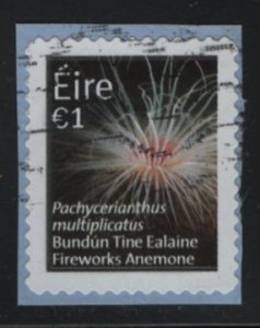 Ireland 2014 used Sc 2043 1Euro Fireworks anemone, on piece